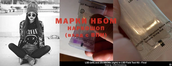 PSILOCYBIN Алзамай