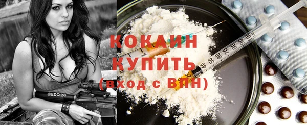 гидра Алексин