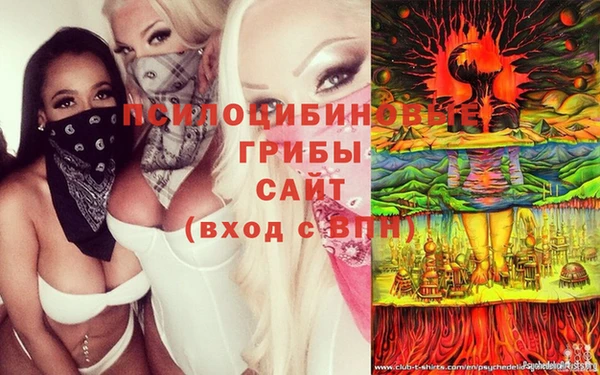 гидра Алексин