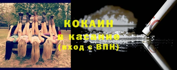 гидра Алексин