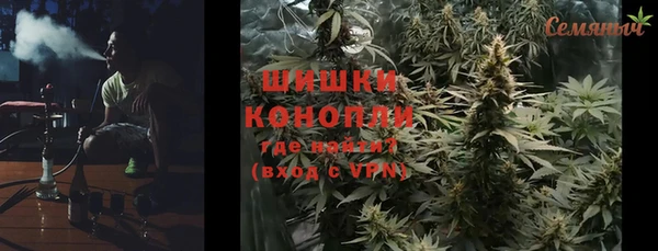 PSILOCYBIN Алзамай