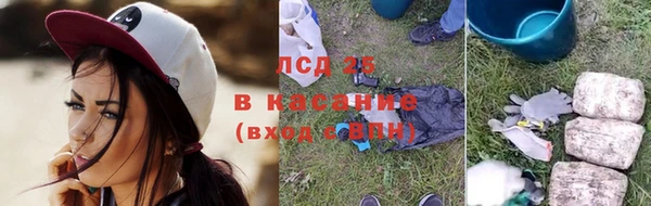 PSILOCYBIN Алзамай