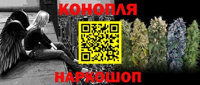 сатива Будённовск