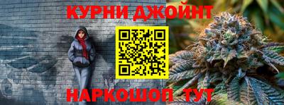 сатива Будённовск