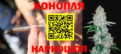 сатива Балаково