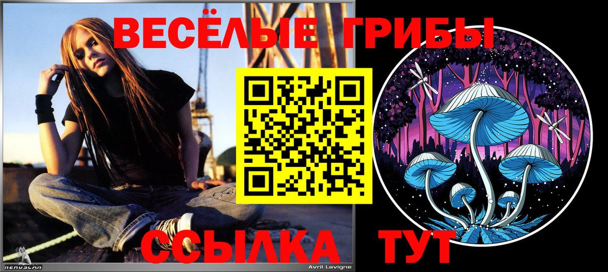 Галлюциногенные грибы GOLDEN TEACHER Ленинск-Кузнецкий