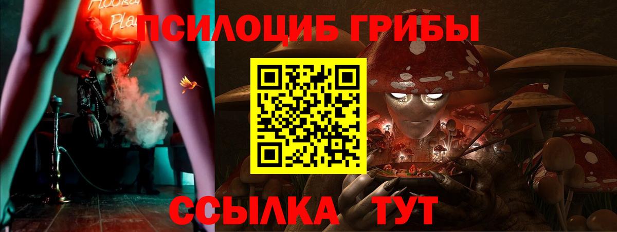 Псилоцибиновые грибы прущие грибы  Вход с VPN  Галлюциногенные грибы Psilocybe  Ленинск-Кузнецкий 