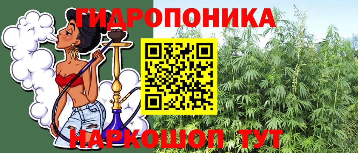 Марихуана ГИДРОПОН Ленинск-Кузнецкий
